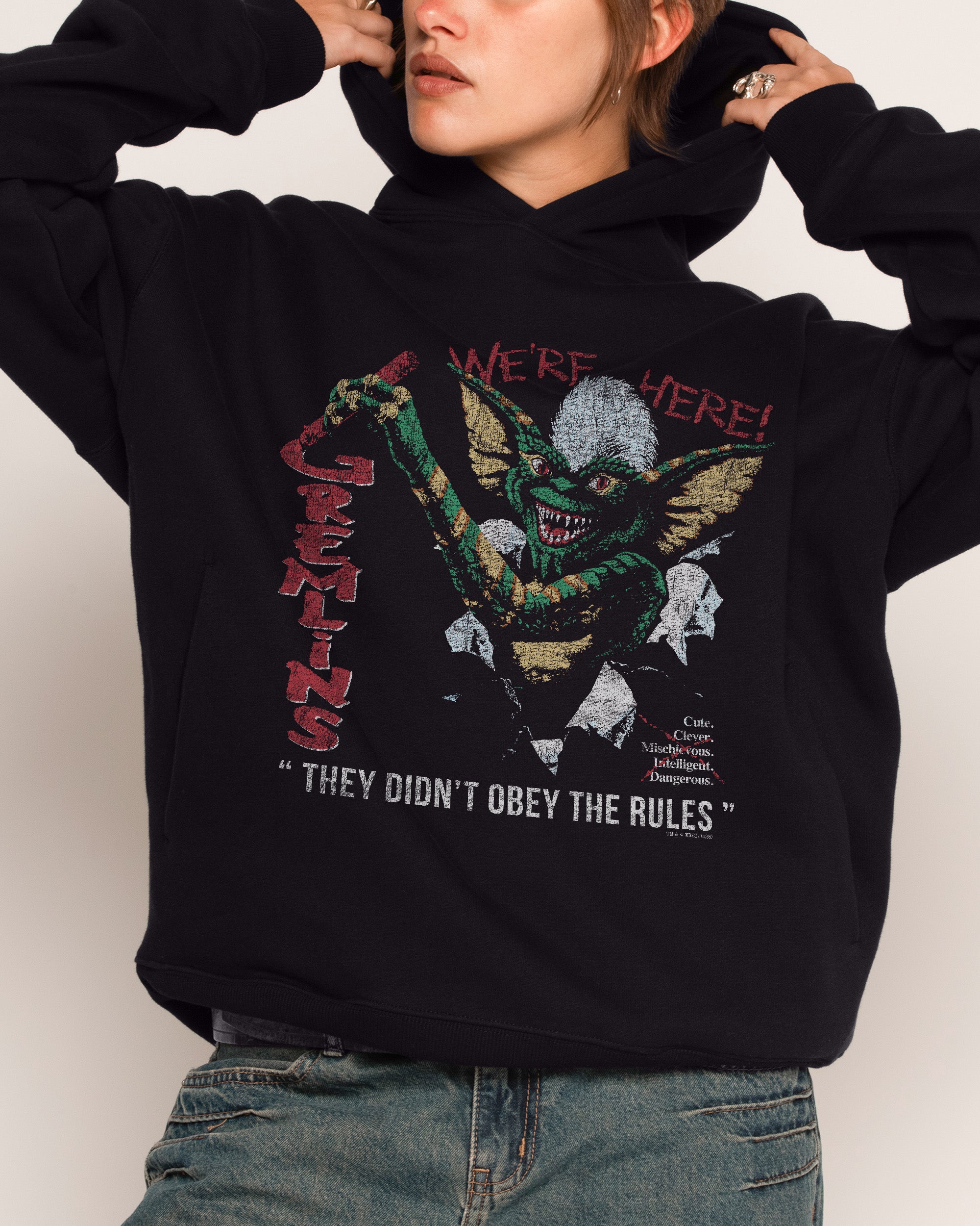 We're Here Gremlins Unisex Hoodie - 90s Boxy Fit, 340gsm Cotton-Poly Blend